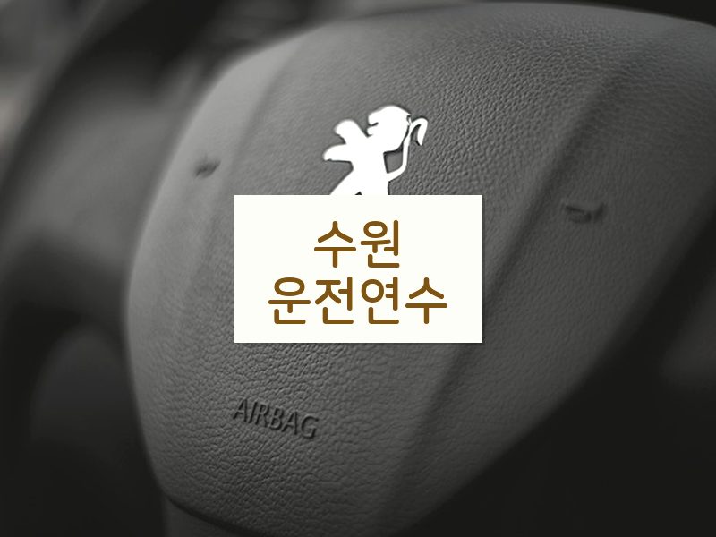수원운전연수 후기