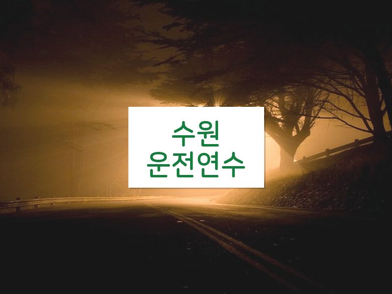수원운전연수 후기