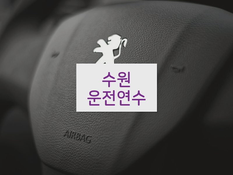 수원운전연수 후기