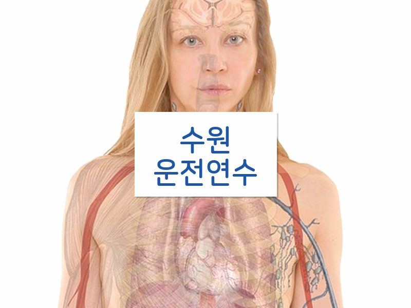 수원운전연수 후기