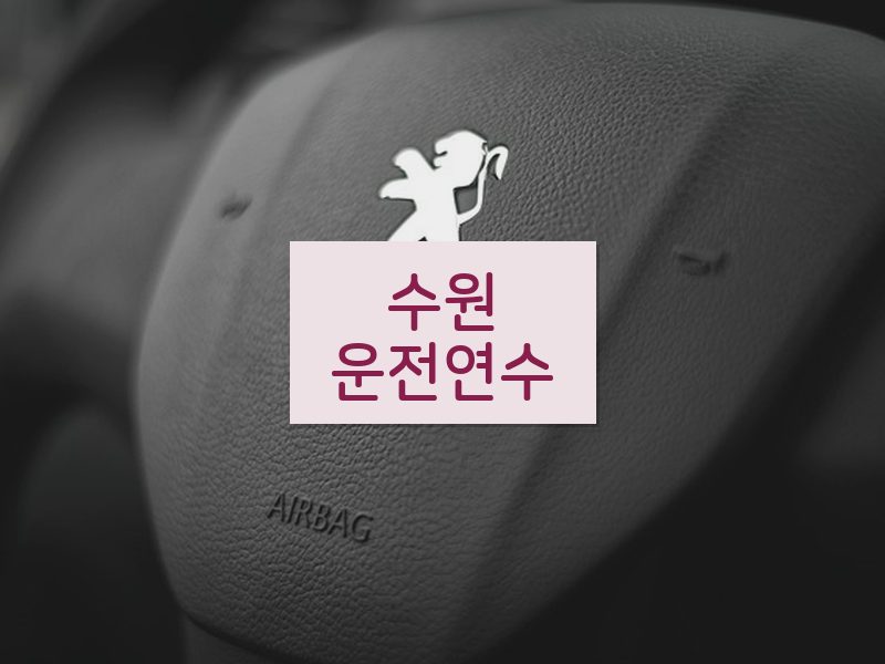 수원운전연수 후기