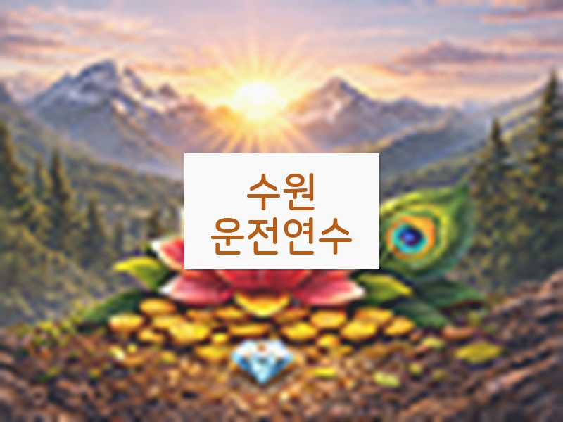 수원운전연수 후기